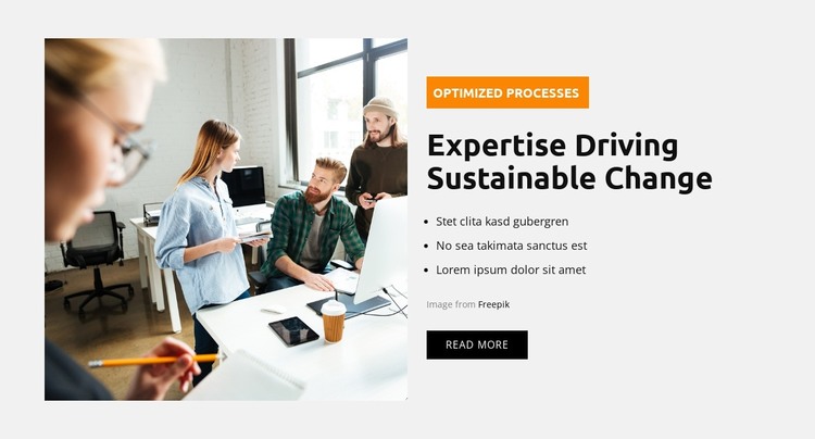 Optimized Processes WordPress Theme