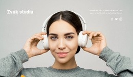 Profesionální Nahrávání – Šablona Návrhu Webu