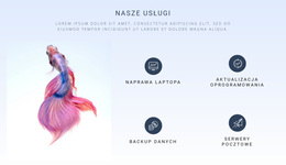 Jasne Tło I Funkcje - Ostateczny Motyw WordPress