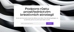 Ovládněte Digitální Trhy – Vstupní Stránka