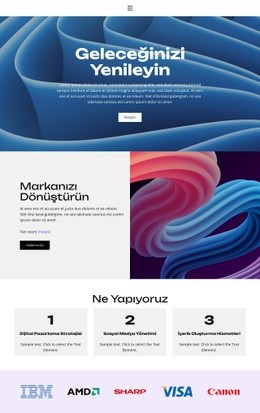 İçerik Oluşturma Hizmetleri - Özel Web Sitesi Modeli