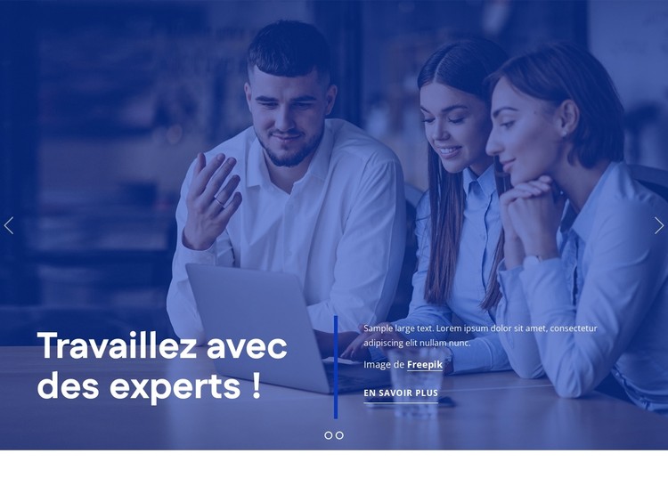 Nous sommes des professionnels des RH Modèle CSS