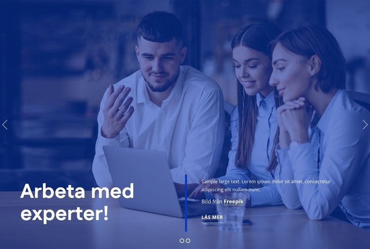 Vi är HR-proffs HTML-mall