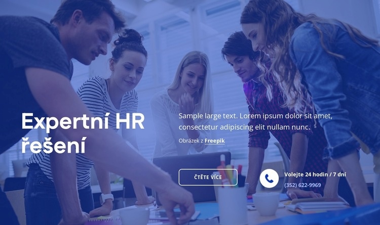 Expertní HR řešení Šablona CSS