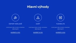 Ohromující Webový Design Pro Výhody HR Poradenství