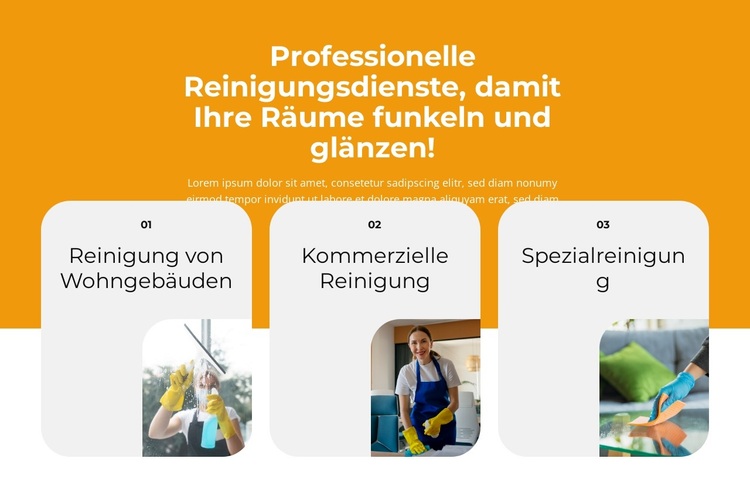 Professionelle Reinigung des Innenraums WordPress-Theme