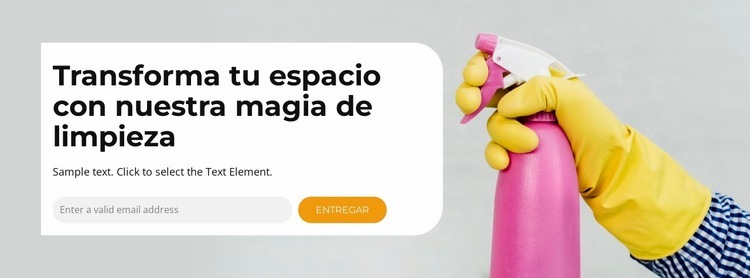 Limpieza profunda Diseño de páginas web