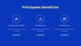 Beneficios De La Consultoría De RRHH