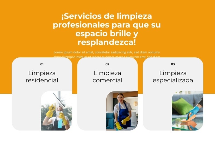 Limpieza profesional de interiores Maqueta de sitio web