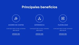 CSS Gratuito Para Beneficios De La Consultoría De RRHH