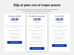 Precios De La Empresa De RRHH