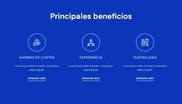 Beneficios De La Consultoría De RRHH - Plantilla Premium De Joomla