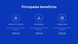 Beneficios De La Consultoría De RRHH - Tema Gratuito De WordPress