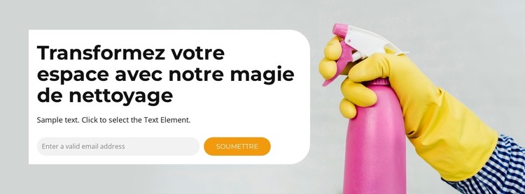 Nettoyage en profondeur Modèle CSS