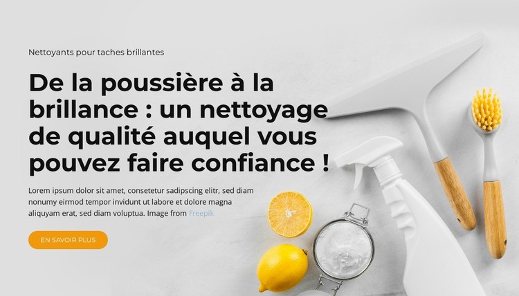 Nettoyage général de la maison Modèle HTML