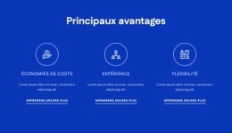 Modèle Polyvalent D'Une Page Pour Les Avantages Du Conseil En RH