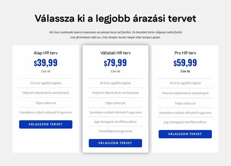 HR cég árképzés Weboldal sablon