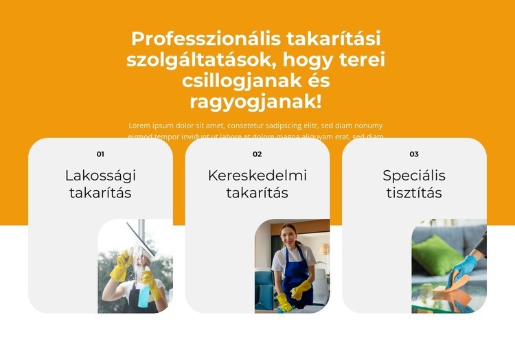 Professzionális belső takarítás WordPress Téma