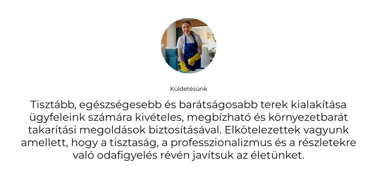 Lakossági takarítás WordPress Téma