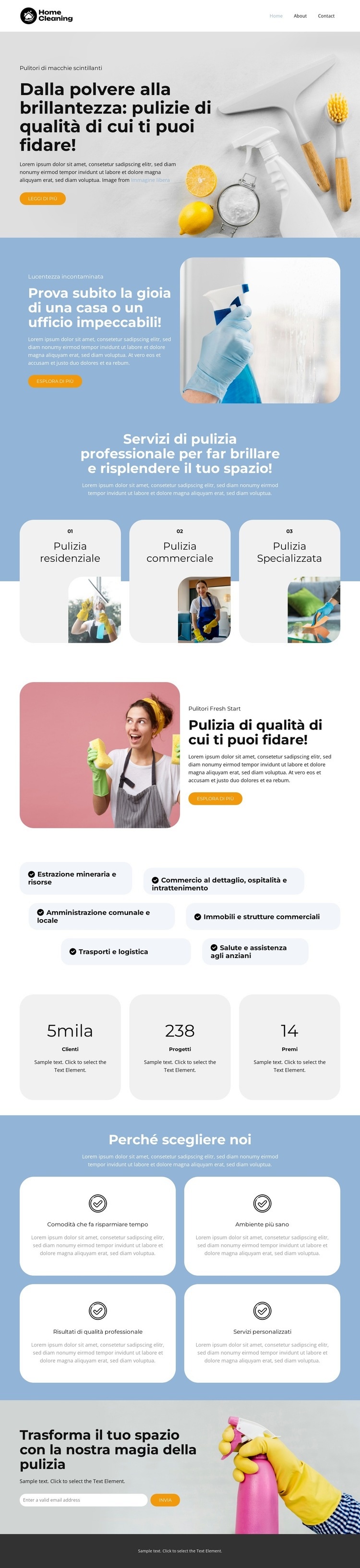 Lucentezza incontaminata Modelli di Website Builder