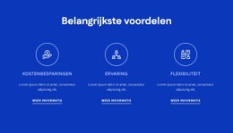 Gratis CSS Voor Voordelen Van HR-Consulting