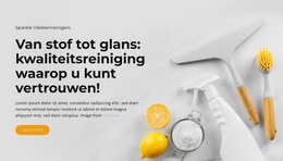 Algemene Schoonmaak Van Het Huis