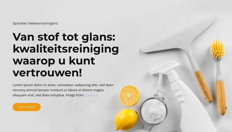 Algemene schoonmaak van het huis HTML-sjabloon