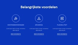 Multifunctioneel Sjabloon Van Één Pagina Voor Voordelen Van HR-Consulting