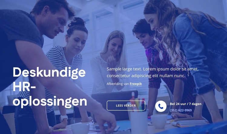 Deskundige HR-oplossingen Website sjabloon