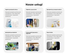 Darmowy Motyw WordPress Dla Środki Czyszczące Sparkle Spot Cleaners