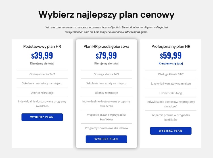 Cennik firmy HR Motyw WordPress