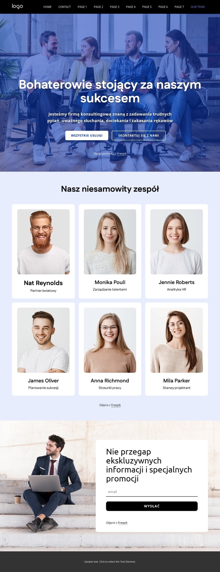 Zespół firmy HR Szablon CSS