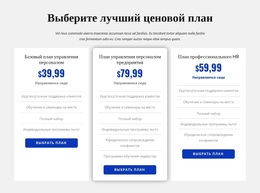 Лучшая Тема WordPress Для Ценообразование Кадровой Компании