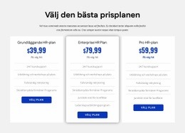 HR-Företags Prissättning