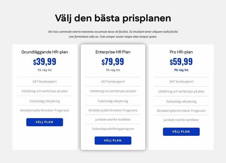 HR-företags prissättning Mall