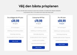 HR-Företags Prissättning