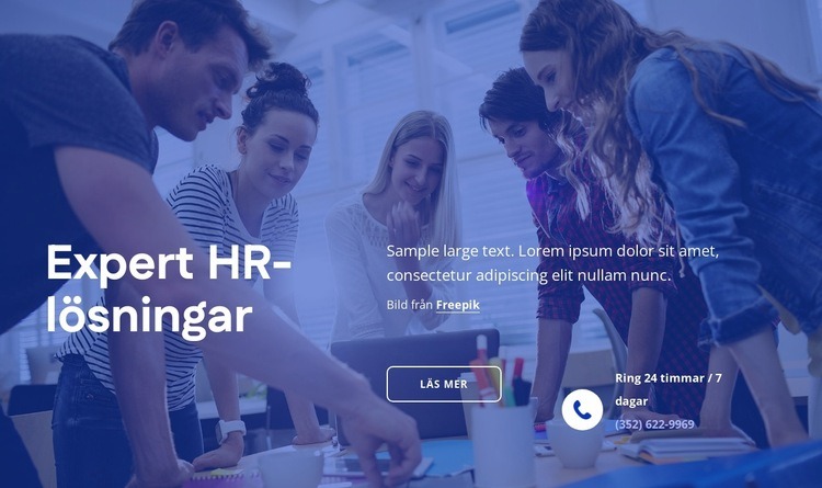 Expert HR-lösningar WordPress -tema