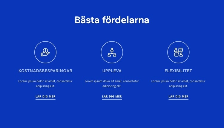 HR-konsultfördelar WordPress -tema