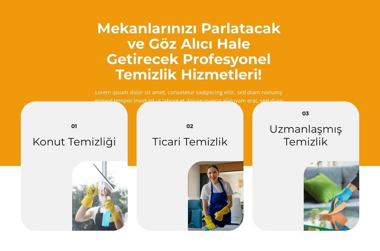 Profesyonel iç mekan temizliği Açılış sayfası