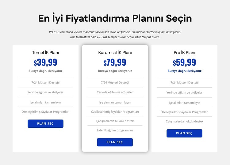 İnsan kaynakları şirket fiyatlandırması HTML Şablonu