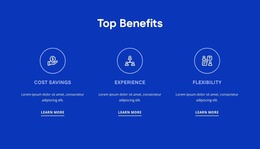 HR Consulting Benefits - Drag & Drop WordPress Theme Generator