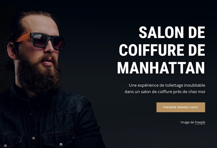 Salon de coiffure de Manhattan Modèle CSS