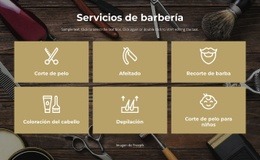 Servicios De Peluquería En Manhattan - Diseño Web Polivalente