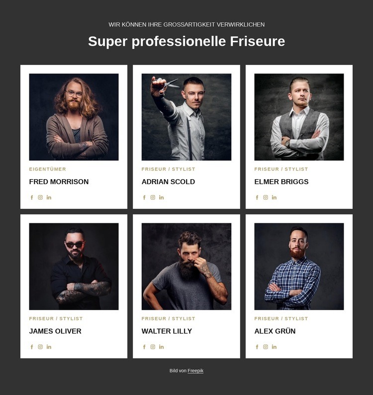 Professionelle und zertifizierte Friseure Website-Modell