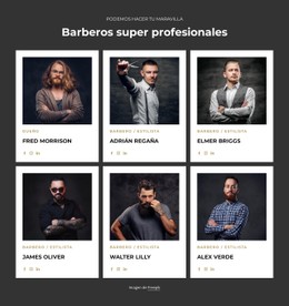 CSS Gratuito Para Professional And Certified Barbers