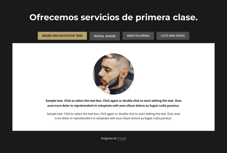 Ofrecemos servicios premium Plantilla CSS