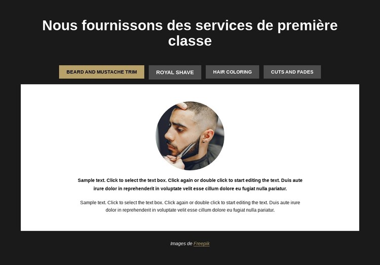 Nous offrons des services haut de gamme Modèle CSS