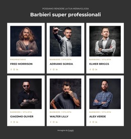 Barbieri Professionisti E Certificati: Modello Completamente Reattivo