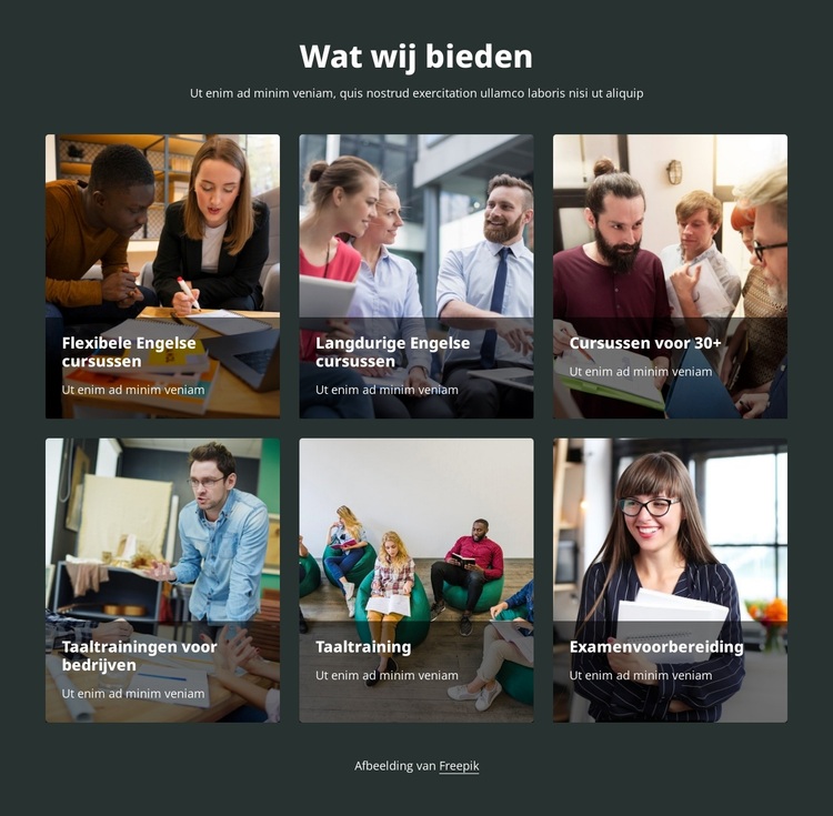 Wij bieden taalcursussen aan WordPress-thema