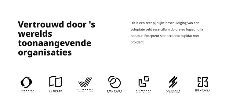 Leidende organisaties Website sjabloon